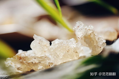 雪燕购买指南 品牌推荐与购买途径详解