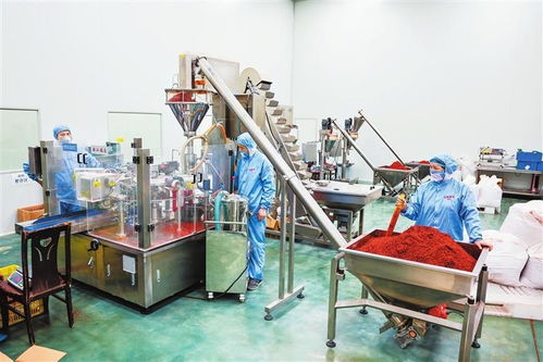 陇右名城热潮涌动 从田间到舌尖，天水麻辣烫火爆出圈的“初级农产品”密码