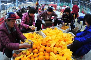 做农业电商，需不需要办理食品经营许可证？怎么办？一文看懂！