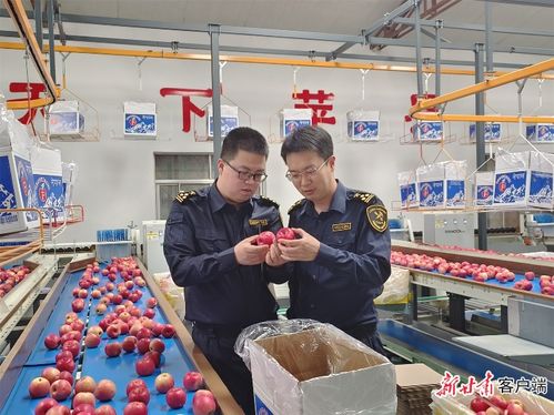 向新求质 甘肃特色农产品破圈出海之路