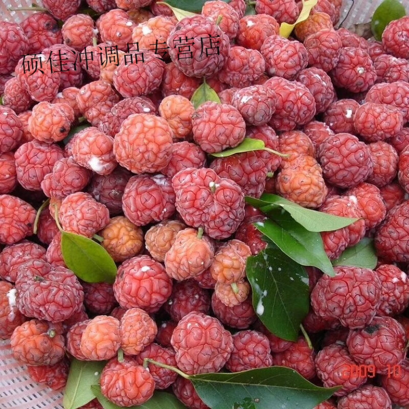 探秘柘果 从野荔枝到酵素宝藏的多重身份