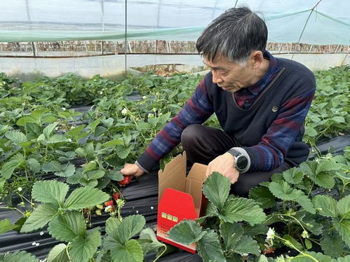 佛坪“绿卡”赋能农产品，初级产品勇闯大市场