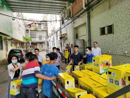 大龙街以购代捐 优质农产品认购，助力消费扶贫新篇章